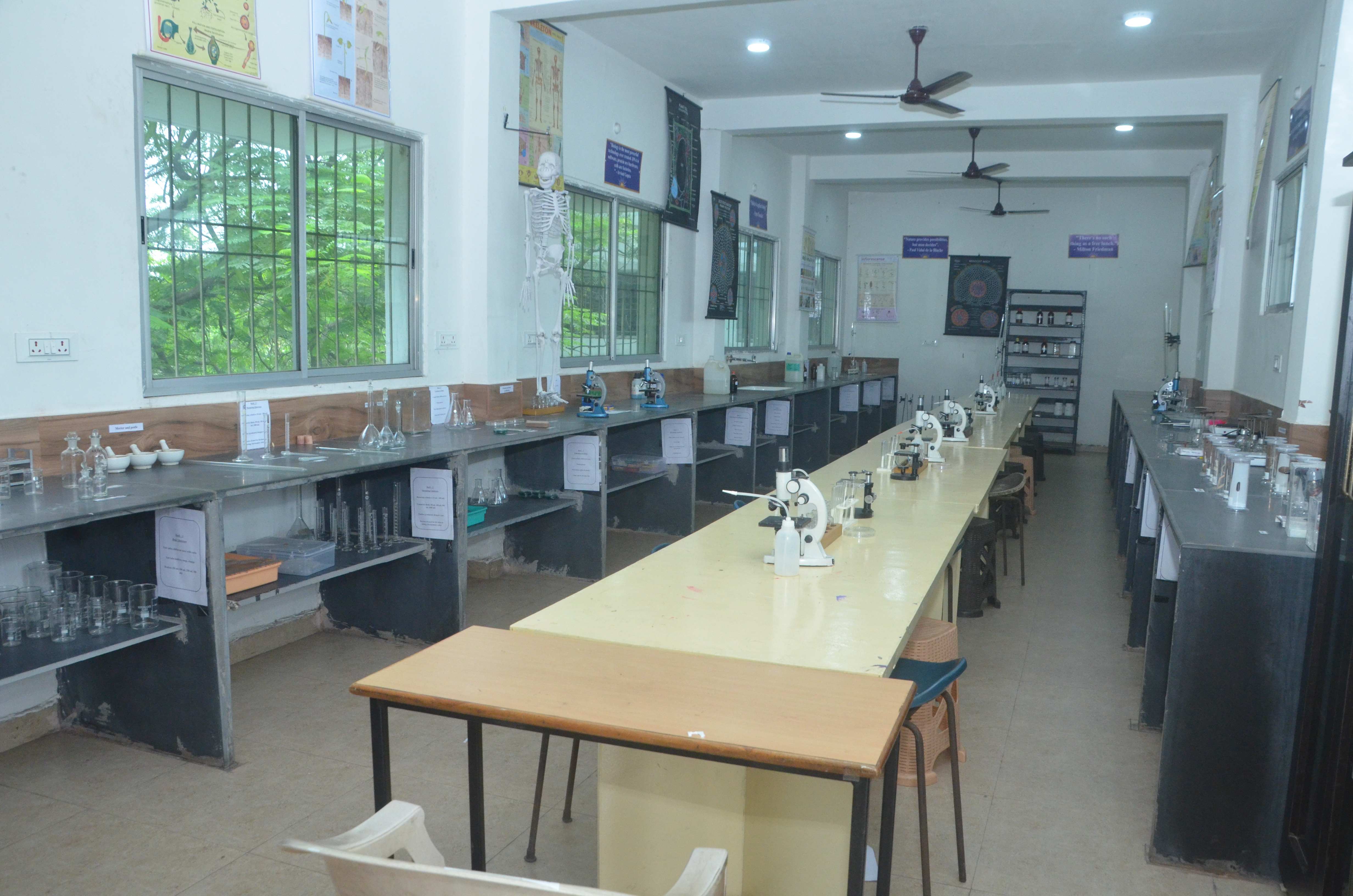 School Photo Gallery